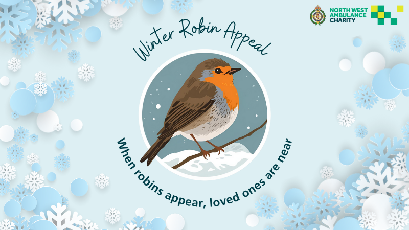 graphic of a robin with some snowflakes and the words 'when robins appear, loved ones are near.'
