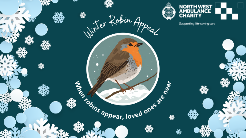 graphic of a robin surrounded by snowflakes with the words 'winter robin appeal'