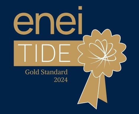 enei TiDE 2024 Gold standard