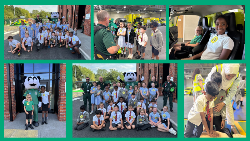 A collage of school children visiting Elm Point site.
