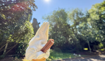 An ice cream with a flake in it. pictured in front sunny tree lined scene.