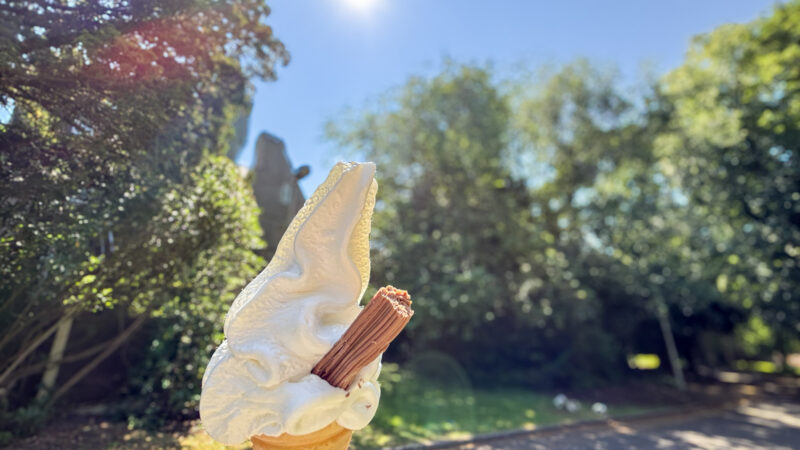 An ice cream with a flake in it. pictured in front sunny tree lined scene.