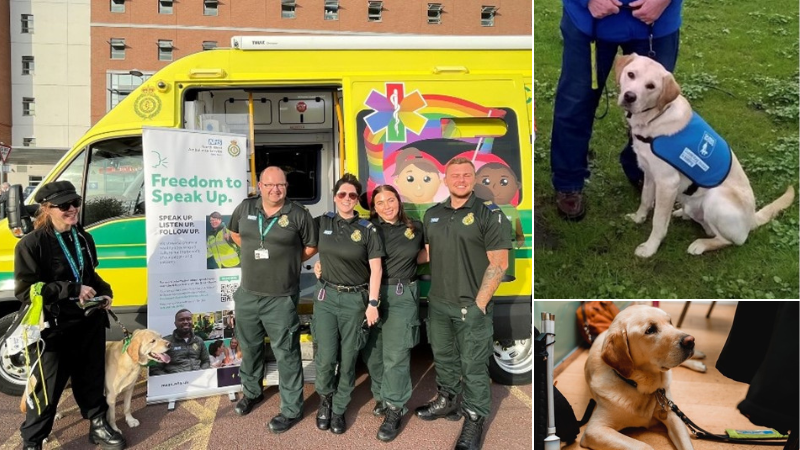 Three photos: Far left - Fran and Sean stood outside of an ambulance with four other colleagues at a FTSU event. Top right: Sean in his guide dog training harness. Bottom right: Sean led on the floor at an NWAS event.